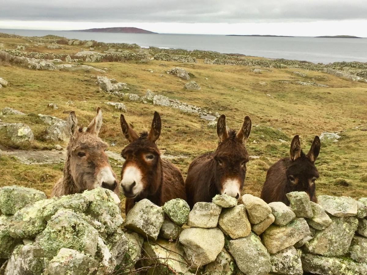 Earls View Caravan Carna Eksteriør billede